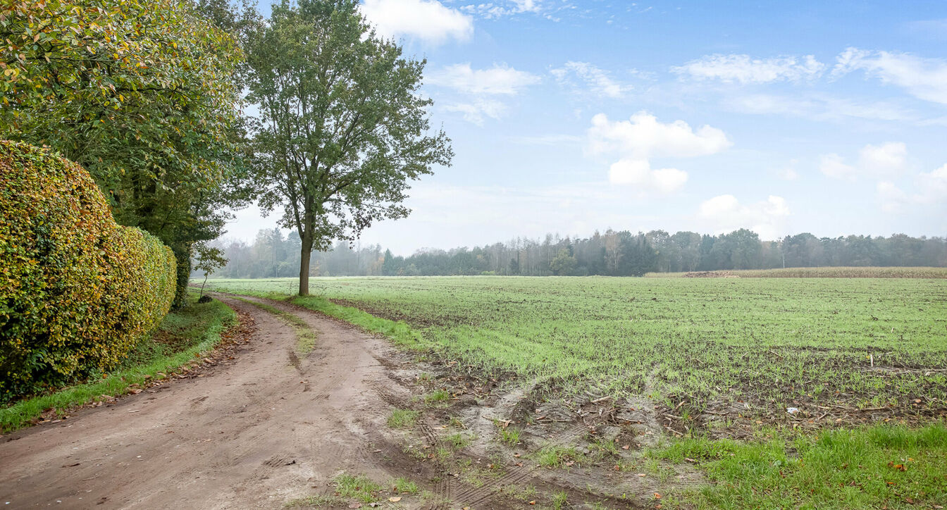 Boerderij te koop in Retie