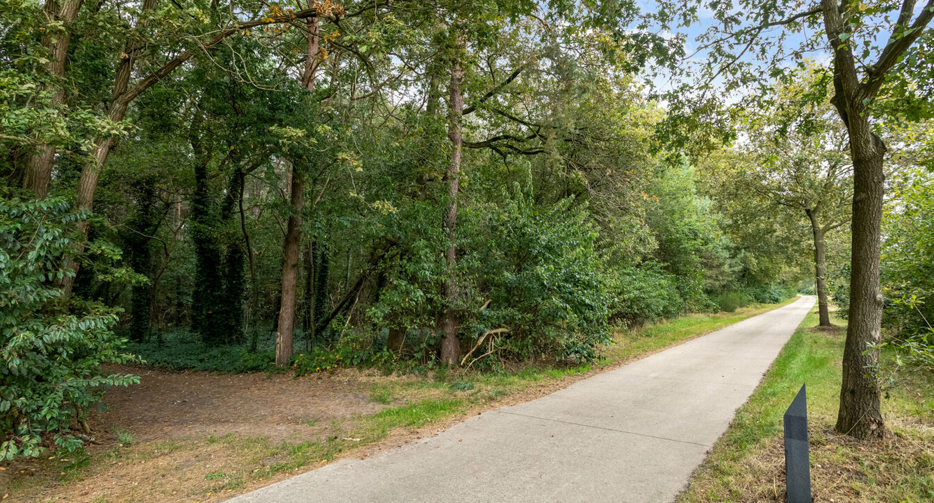 Bos te koop in Hechtel-Eksel