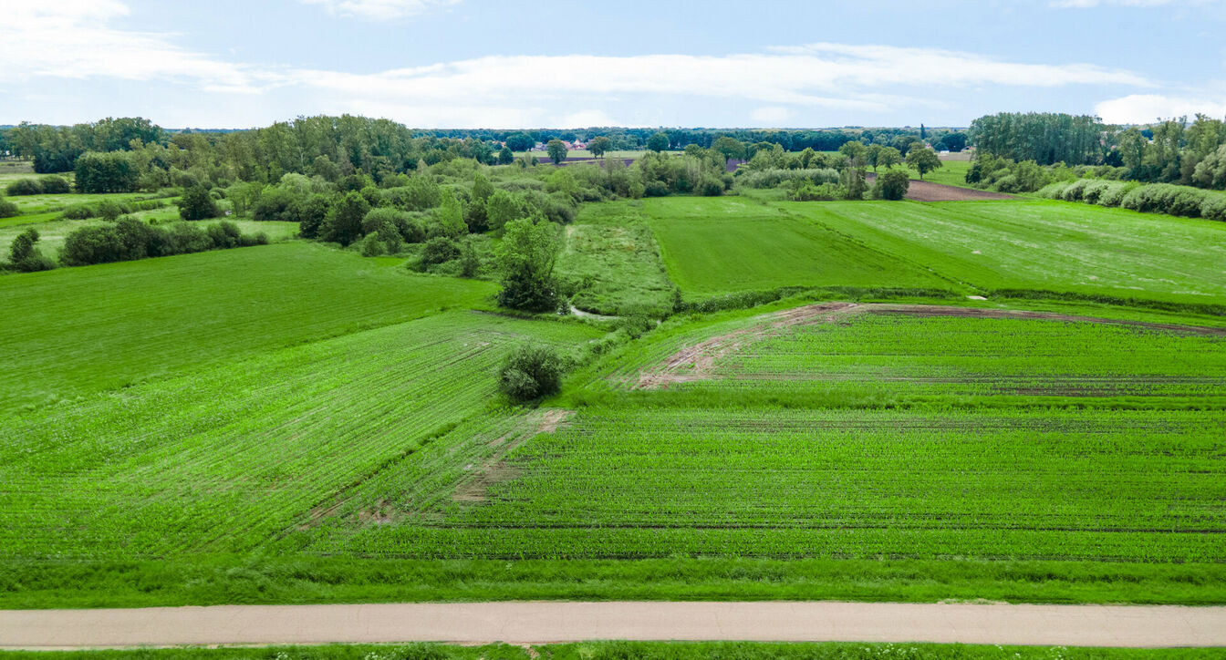 Bos te koop in Retie