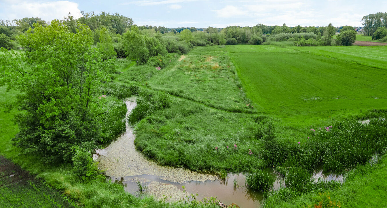 Bos te koop in Retie