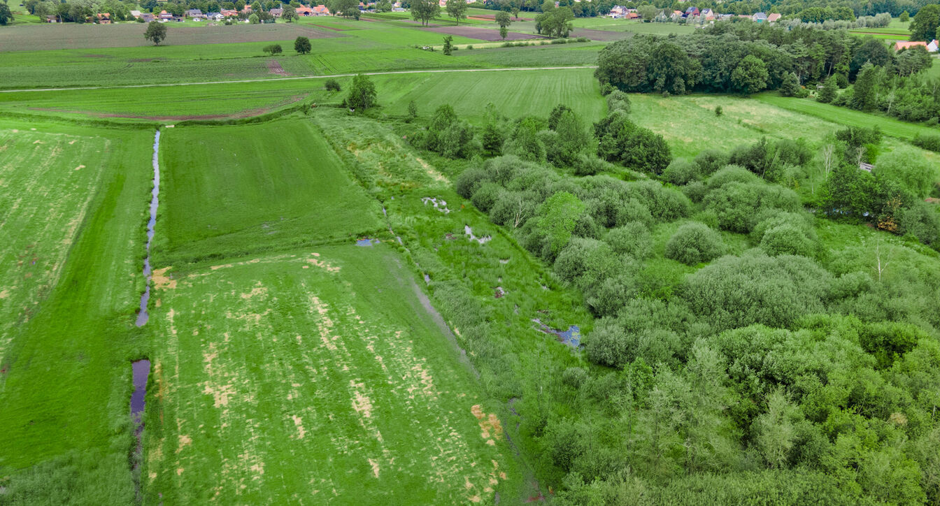 Bos te koop in Retie