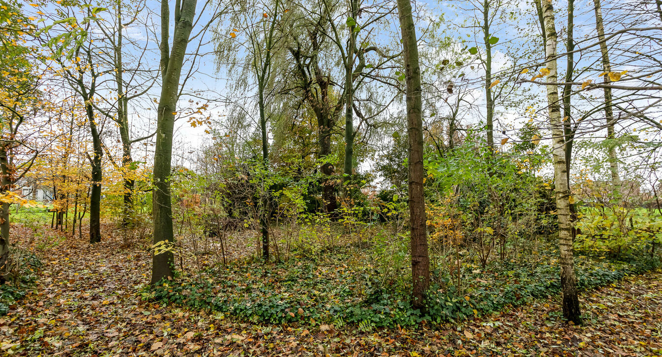 Charmant huis te koop in Arendonk