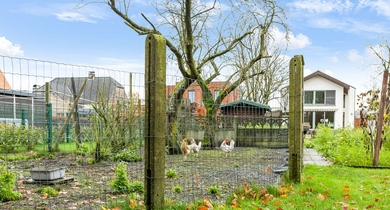 Charmant huis te koop in Arendonk