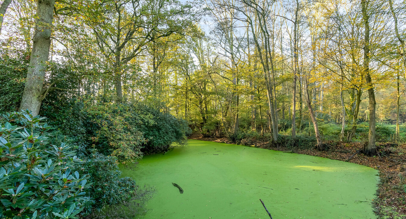 Villa te koop in Turnhout